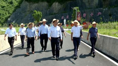 纪道清在上龛调研时强调：开拓创新 真抓实干 推动乡村振兴工作走在前列