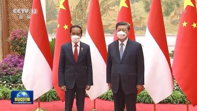 习近平同印度尼西亚总统佐科会谈