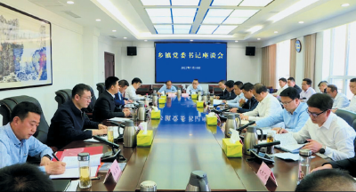 党旗领航风帆劲 聚力发展促振兴 ——房县上半年基层党建工作综述