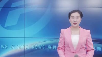 房县虎杖被评为“五大特色药材”之一