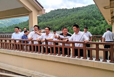 纪道清谢晓鸣现场办公推进花田酒溪康养中心项目