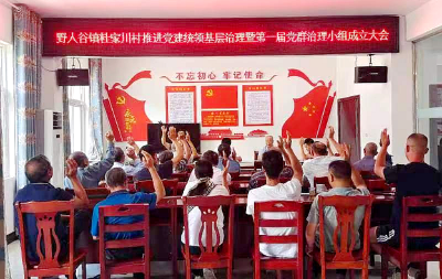 野人谷镇：家门口的“治理小组” 田野上的文明乡风