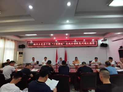 ​姚坪乡：“三个一”推动实践活动走深做实
