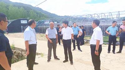 远安县来房县考察食用菌产业