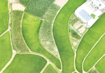 诗意田园 美景如画