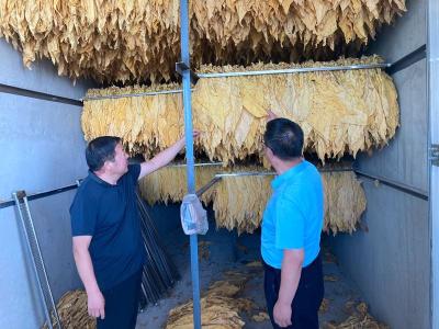 房县三大举措为烟叶丰收护航