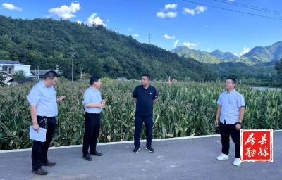 化龙堰镇：解决群众操心事