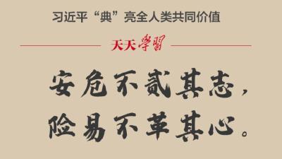 习近平“典”亮全人类共同价值｜安危不贰其志，险易不革其心