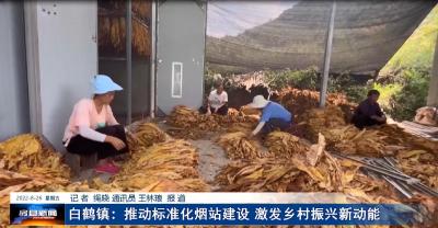 白鹤镇：推动标准化烟站建设 激发乡村振兴新动能
