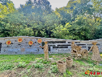 房县化龙堰镇上湾村聚力打造宜居宜业田园乡村