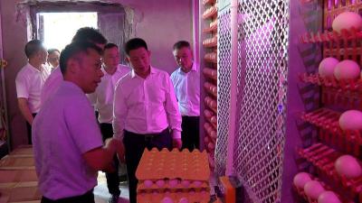 纪道清到沙河乡调研乡村振兴和抗旱救灾工作