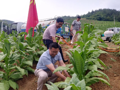 县烟草局：推进驻村帮扶工作走深走实