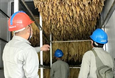 国网房县供电公司：为产业发展供好电 助力烟农“烤好烟”