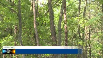 房县积极应对高温干旱天气森林防火工作