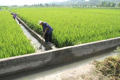 房县科学调度保障供水安全