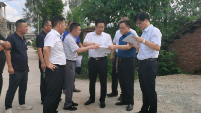 谢晓鸣要求：坚持规划引领项目建设 提升规划权威性科学性