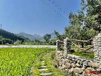 房县化龙堰镇上湾村聚力打造宜居宜业田园乡村