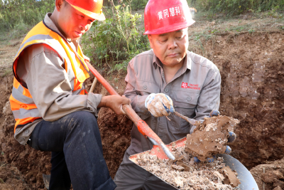 房县：灭剿水库堤坝白蚁