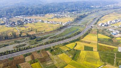 习近平向2022年中国国际服务贸易交易会致贺信