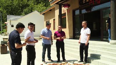 高明哲调研中坝乡“白酒特色小镇”建设