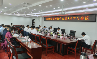 县政府党组开展理论中心组集中学习