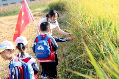 县幼儿园开展“趣”秋游活动