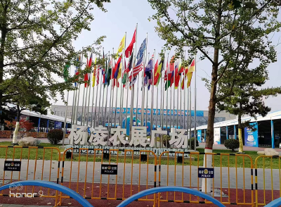 房县黄酒惊艳亮相第29届杨凌农高会