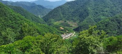 发挥医疗资源优势 保障群众就医需求 ——市人民医院扎实开展新时代提升基层服务能力行动工作综述