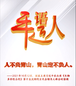 平语近人 | 人不负青山，青山定不负人