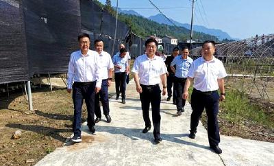 谢晓鸣到沙河尹吉甫调研乡村振兴工作