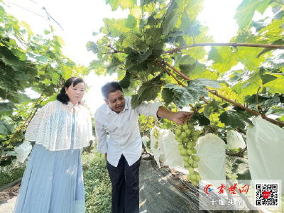 房县项家河村：户户有项目 人人有事做