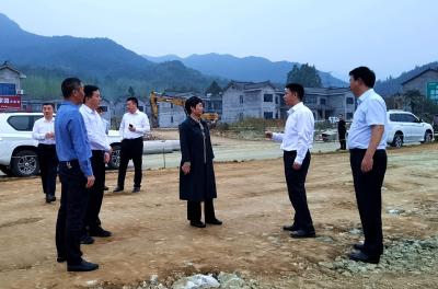 胡志莉要求：市县联动全力加快推进十房一级路项目建设
