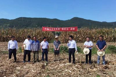 全市玉米机收“田间日”活动在房县举行  