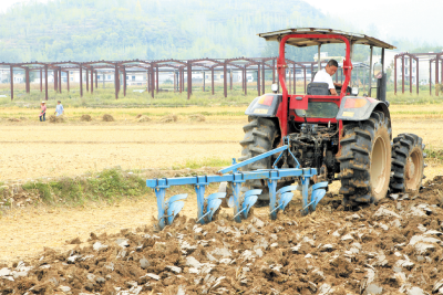 抢抓农时 整地播种