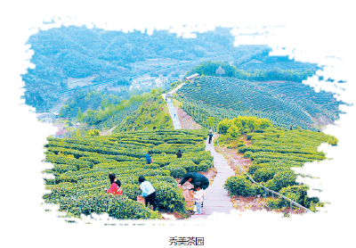 农业产业篇—— 沃野田畴织锦绣