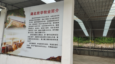 门古寺镇：壮大村集体经济 让美丽乡村更富足