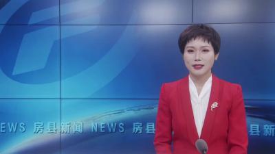 白鹤镇：秋菇采摘忙  品质上乘