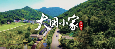 跟着总书记看中国｜大国小家
