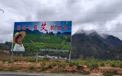 尹吉甫镇双湾村：村美民富产业兴