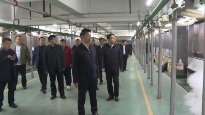 纪道清调研重点企业和项目时强调：主动服务解难题 凝心聚力促发展