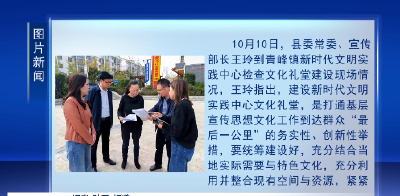 王玲调研文化礼堂建设时要求：加快建设进度 打造凝心聚气的群众舞台