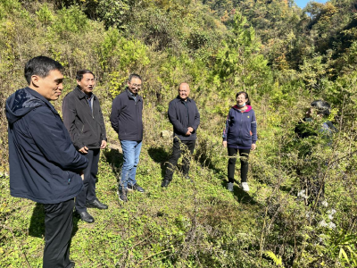 房县顺利通过第二轮中央生态环境保护督察反馈问题整改市级验收