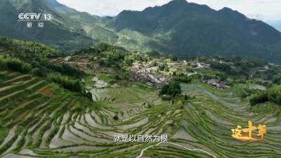 磁湖聚焦·营商环境观察】“悬空”的电梯何时落地？——直击老旧小区加装“资金”与“共识”困局