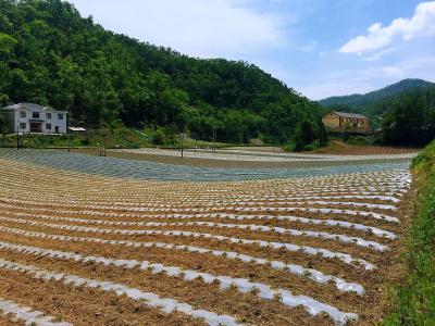 房县行政审批局扎实开展“户户走到”活动