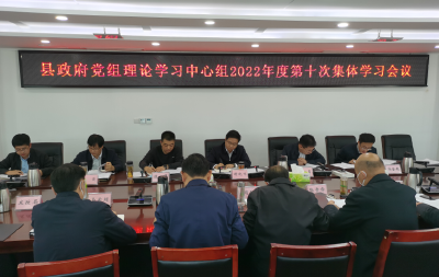 县政府党组开展理论中心组集中学习