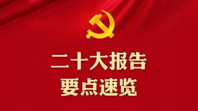一图速览！二十大报告要点来了 