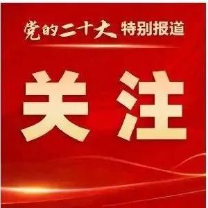 中共二十届一中全会公报