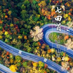 五台乡：筑牢“防火墙”守好养老“钱袋子”