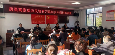 万峪河乡：农技培训直达家门口 农户获“真经”