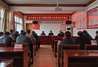 城关镇东关社区召开“大党委”联席会